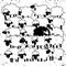 Â vector of a black sheep amongst white sheepÂ ,Single black she